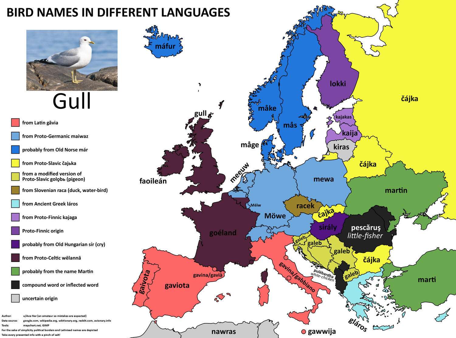 Name for the bird Gull in European languages